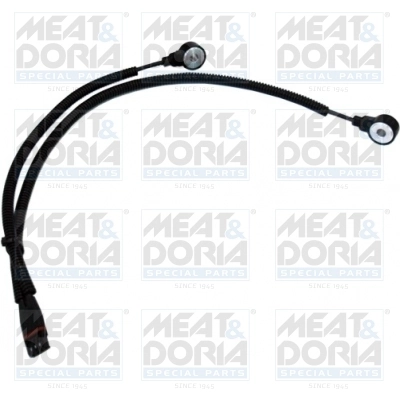 Knock Sensor
